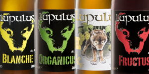 Brouwerij Lupulus